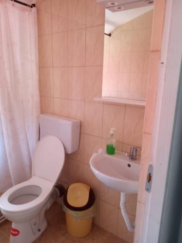 a small bathroom with a toilet and a sink at Casa Pestera Ponicova in Dubova