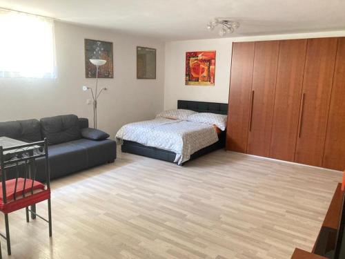 un salon avec un lit et un canapé dans l'établissement Studio 1 1/2, à Contone
