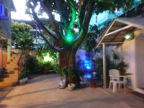 a tree with a green light on it at Maafushi View in Maafushi