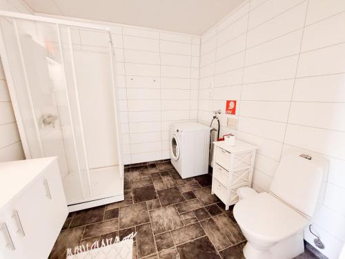 a bathroom with a toilet and a sink at Destination Senja - Vangsvik in Vangsvik