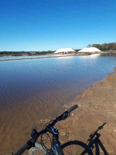 a bike parked on the shore of a body of water at Ria Formosa Pineview in Faro
