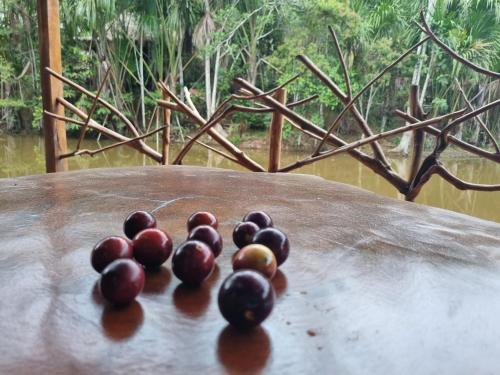 una pila de aceitunas sentadas sobre una mesa de madera en Camu camu jungle villa on Aguajale lake - supboard&vinyl, en Iquitos