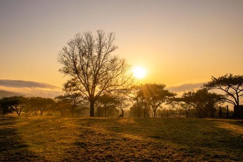 Gallery image of Rorkes Drift Lodge in Rorkeʼs Drift