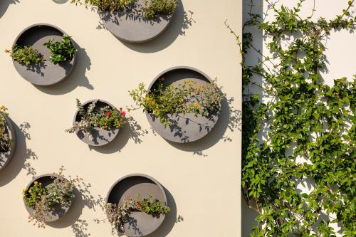 Alkima Athens Wellness Stayにある庭