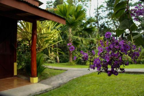 a plant with purple flowers hanging off the side of a house at Catarata Eco Lodge in Fortuna