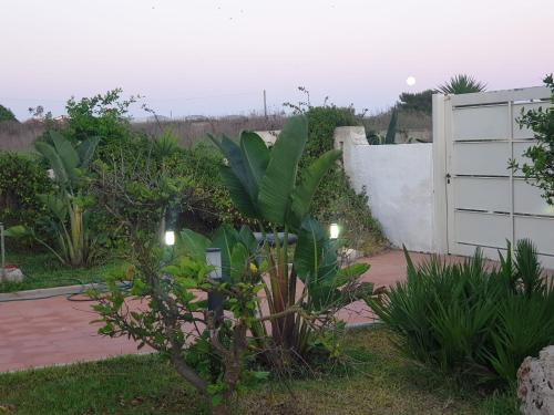 un jardín con una puerta blanca y una planta en Casa relax, en Granelli