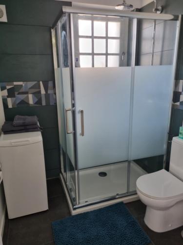 une salle de bain avec toilettes et douche en verre dans l'établissement Location saisonnière appartement situé à Saumur, à Saumur