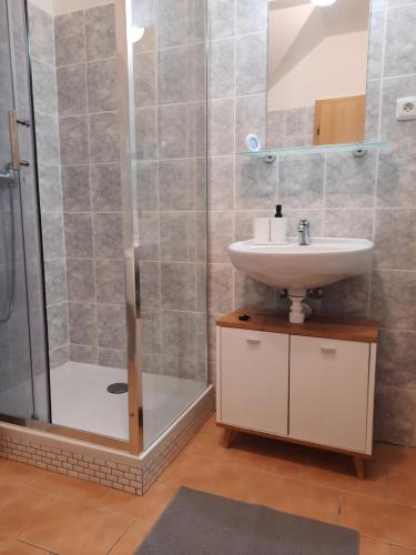 a bathroom with a sink and a shower at Penzion U Mnicha in Vilémov
