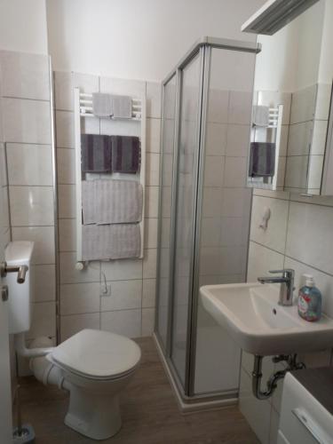 ein Badezimmer mit Dusche, Toilette und Waschbecken in der Unterkunft Appartment Hochpaterre in Springe