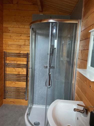 a bathroom with a shower and a white sink at Alpaca My Bags! at Andean Alpacas in Mullingar
