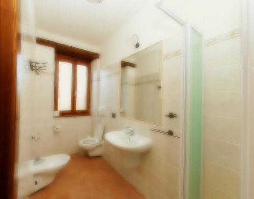 ein Badezimmer mit einem Waschbecken, einem WC und einem Spiegel in der Unterkunft Agriturismo Le Selve in Comunanza