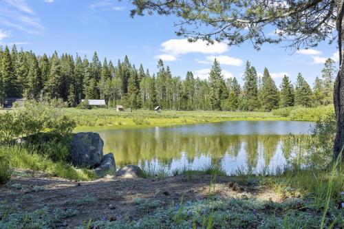 a pond in a field with trees in the background at Amazing Views - Modern Home - SH #14 in Bear Valley