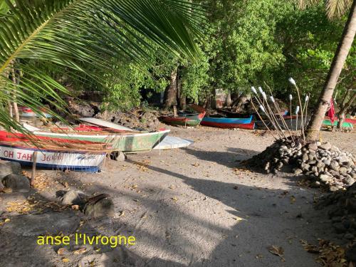 a group of boats on a beach with a palm tree at The Pink House in Choiseul
