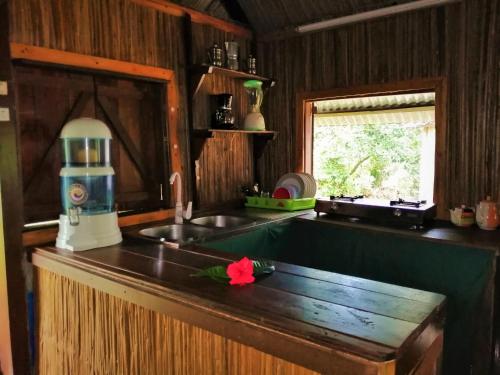 - une cuisine avec un évier et un comptoir dans l'établissement Chambres d'hôtes Villa Les Orchidées Chez Ago, sur l'île Sainte-Marie