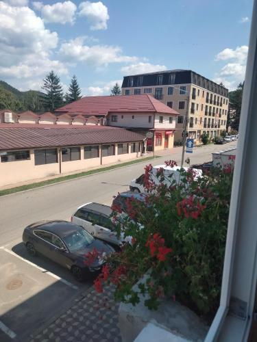 vistas a un aparcamiento con coche y flores en Apartament Geo, en Nehoiu