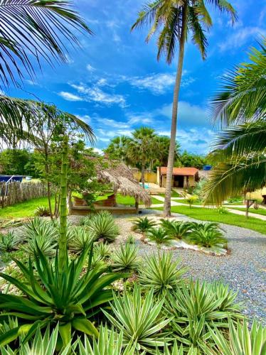 a tropical garden with palm trees and a building at Pousada e Chalés Recantos do Mar in Barra Grande