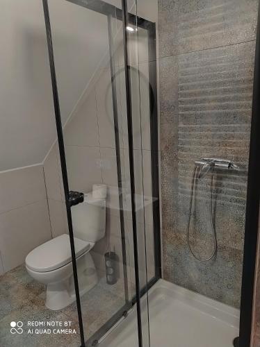 a bathroom with a toilet and a glass shower at Domek przy parku in Susiec