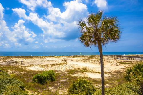 a palm tree in front of a beach at Plantation East #1104 in Gulf Highlands