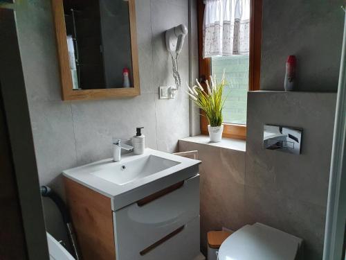 a bathroom with a sink and a toilet and a mirror at Domki Niesiołowice in Niesiołowice