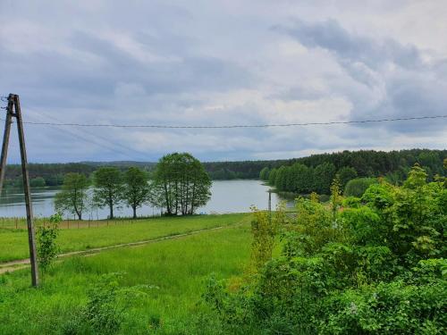 a view of a lake with trees in a field at Domki Niesiołowice in Niesiołowice