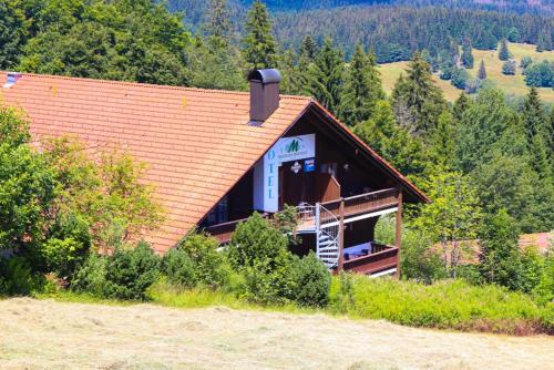 a house with a brown roof on a hill at FitApartman in Mitterfirmiansreut