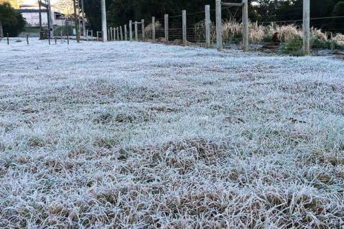a frost covered field with grass and a fence at Casa de Campo Província Minosso in Farroupilha