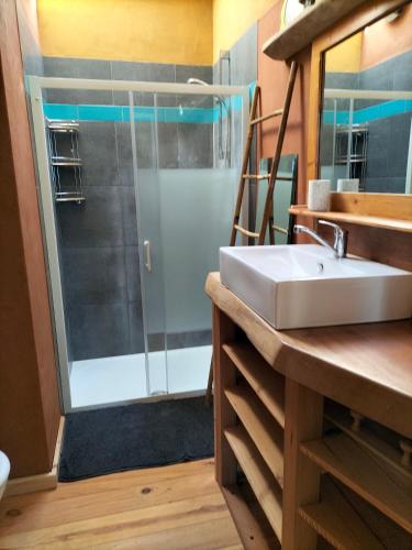 une salle de bain avec un lavabo et une douche dans l'établissement Maison bord de Loire, à Rochefort-sur-Loire