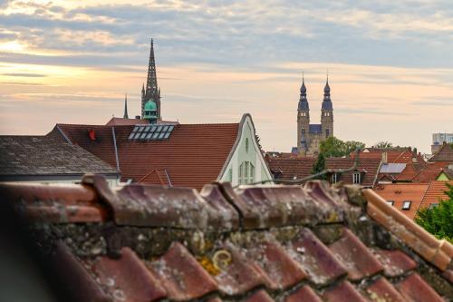 a view of a city with roofs and towers at Traumhaft wohnen in Jugendstilvilla in Speyer