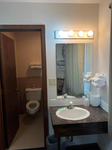 a bathroom with a sink and a toilet and a mirror at Barnesville Motel 