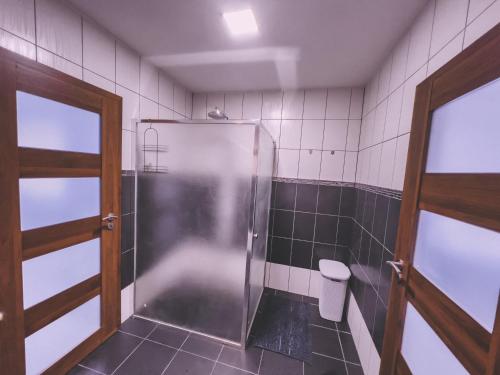 uma casa de banho com um chuveiro e um WC. em Unicorn Hřensko em Hřensko