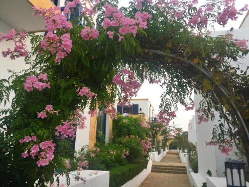 Κήπος έξω από το Maison Oualidia Vue sur Mer-Jardins de la Lagune