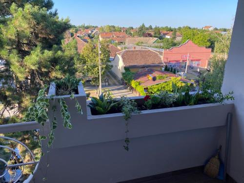 a balcony with plants on the side of a building at Apartman Čelarevo centar in Čelarevo