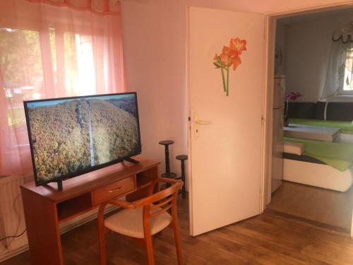 a living room with a television and a bedroom at Potůčky 67 in Potŭčky