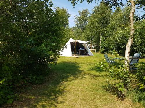 una tenda in mezzo a un campo alberato di Ameland tentenverhuur Ameland a Nes