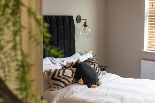 a dog laying on top of a bed at Plymouth Barbican boutique luxury Apartment in Plymouth