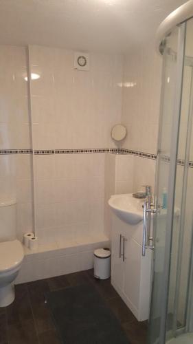 a bathroom with a shower and a sink and a toilet at The Rocks in Westward Ho