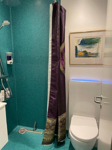La salle de bains est pourvue de toilettes et d'un mur vert. dans l'établissement Nice apartment in the middel of Tórshavn, à Tórshavn