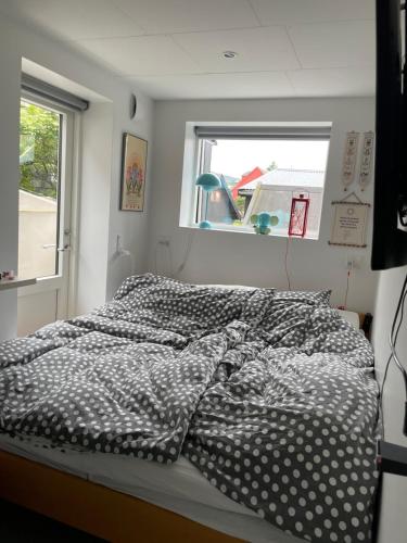 um quarto com uma cama com lençóis de bolinhas em Nice apartment in the middel of Tórshavn em Tórshavn
