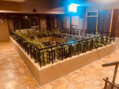 Hospedaje Familiar في كوينكا: شرفة مليئة بالنباتات في الغرفة