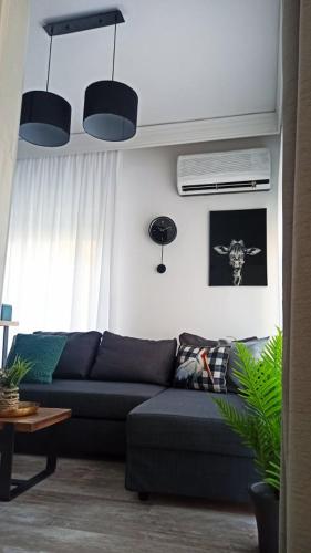 DOWN TOWN Luxurious Apartments (2)
