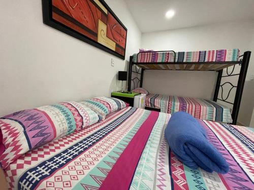 two beds in a room with two bunk beds at Lindos apartaestudios y habitaciones en Ibague in Ibagué