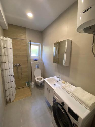 a bathroom with a toilet and a sink and a shower at Apartman Aquarelle in Kumbor
