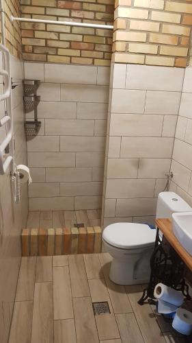 łazienka z toaletą i umywalką w obiekcie Camping Konradówka w mieście Olecko