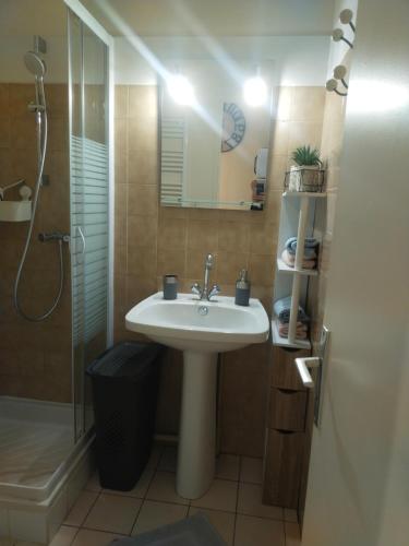 La salle de bains est pourvue d'un lavabo et d'une douche. dans l'établissement Astéride, parking privé, route des plages, à Quimper