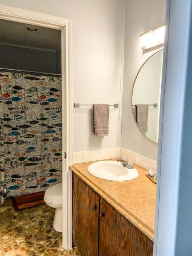 a bathroom with a sink and a toilet and a mirror at Reel Inn and Lodge in Quitman