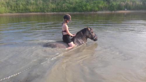 Φωτογραφία από το άλμπουμ του Domki Polana σε Piotrkowiczki