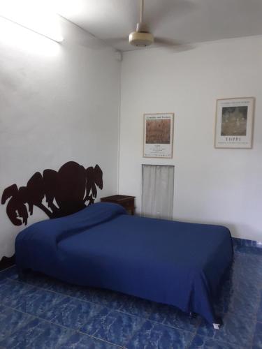 a bedroom with a blue bed with a bear head at Le Tuléar - Résidence Gandhi in Saint-Pierre