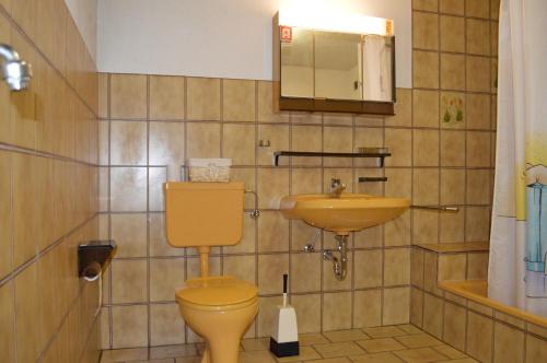 ein Badezimmer mit einem gelben WC und einem Waschbecken in der Unterkunft Apartman Kammleitn in Hermagor