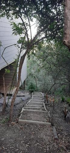 um conjunto de escadas de betão ao lado de uma casa em Oriole Serene Self Catering Studio em George