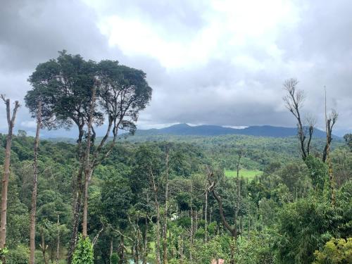 Landskap semula jadi dekat dengan penginapan di ladang